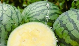 娱乐圈的吃瓜er爆的料,揭秘明星背后的惊人真相！